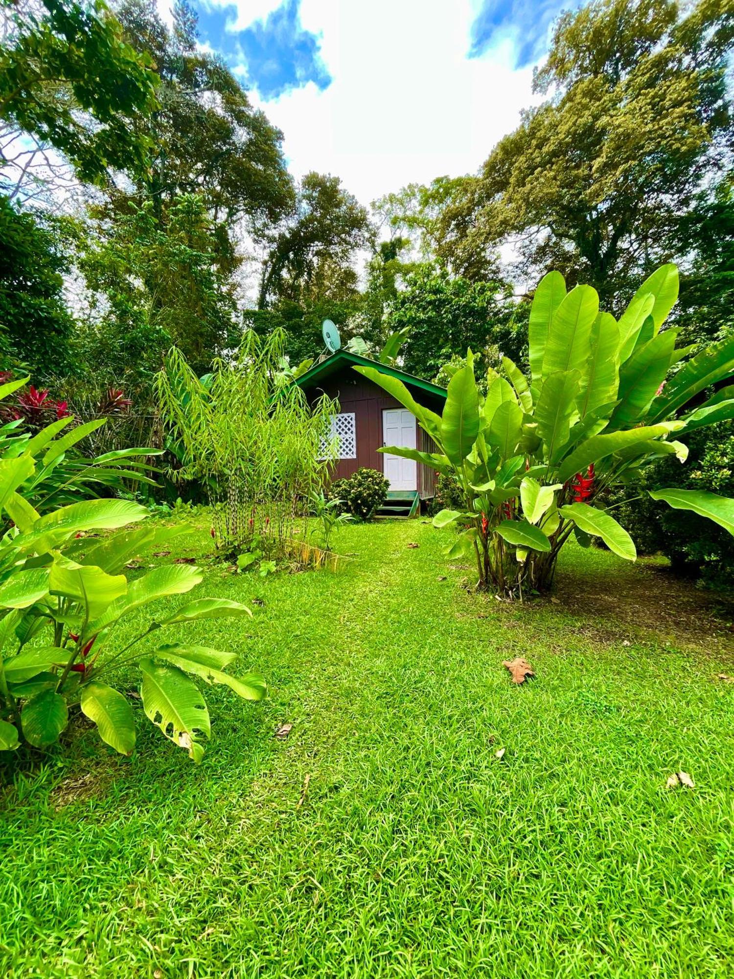 Alouatta Lodge And Canopy Cahuita Exterior foto