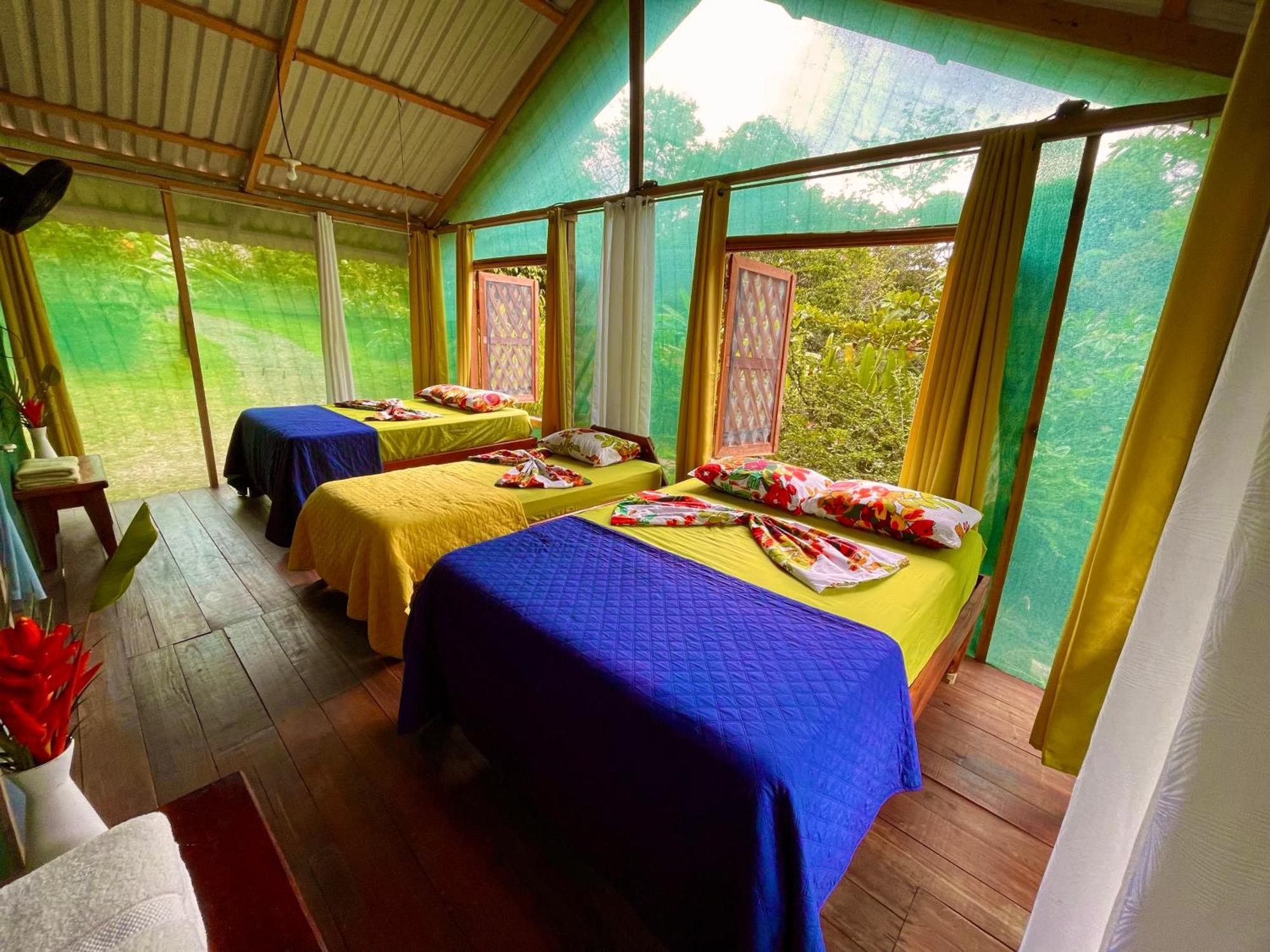 Alouatta Lodge And Canopy Cahuita Exterior foto