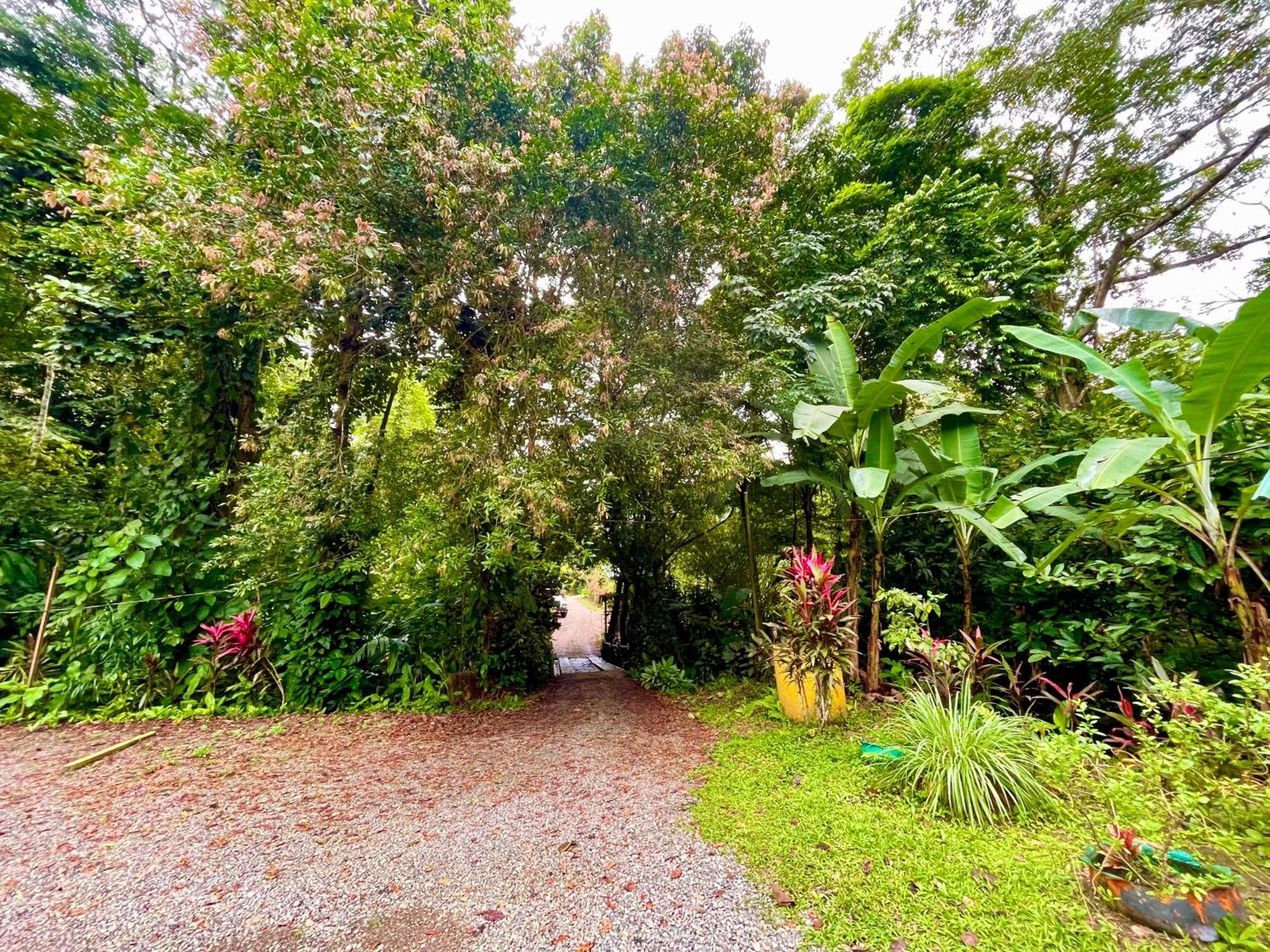 Alouatta Lodge And Canopy Cahuita Exterior foto